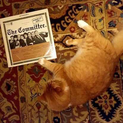 headline photo