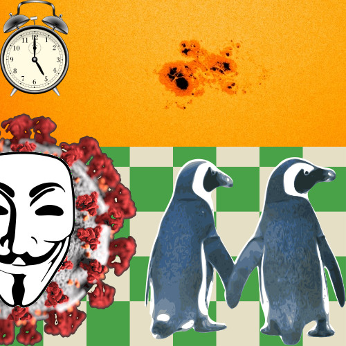 Mourning a Gay Penguin, Sunspots, Wastewater Viruses, Resisting Dementia