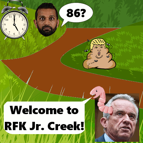 Idylic Scene From Picturesque RFK Jr. Creek
