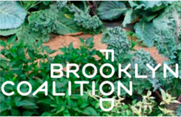 Brooklyn Food Coalition